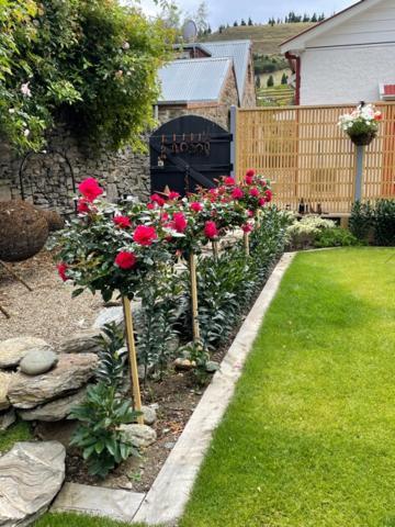 Miners Lane Guest House Clyde Bagian luar foto